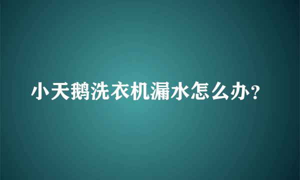 小天鹅洗衣机漏水怎么办？