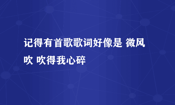 记得有首歌歌词好像是 微风吹 吹得我心碎