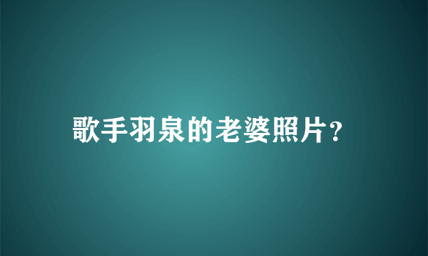 歌手羽泉的老婆照片？