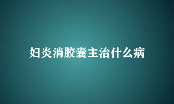 妇炎消胶囊主治什么病