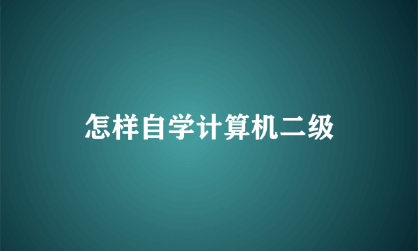 怎样自学计算机二级