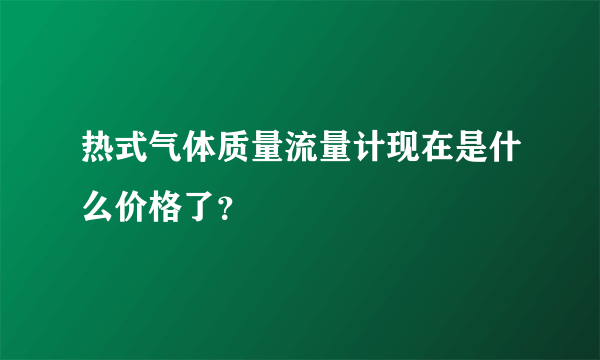 热式气体质量流量计现在是什么价格了？