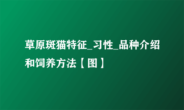 草原斑猫特征_习性_品种介绍和饲养方法【图】