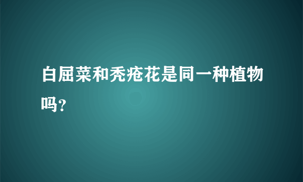 白屈菜和秃疮花是同一种植物吗？