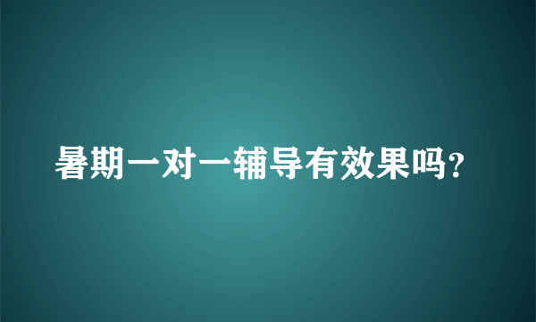 暑期一对一辅导有效果吗？