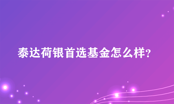 泰达荷银首选基金怎么样？