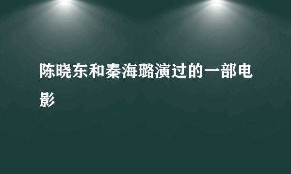 陈晓东和秦海璐演过的一部电影