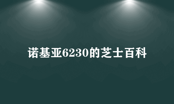 诺基亚6230的芝士百科