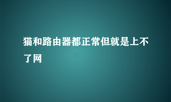 猫和路由器都正常但就是上不了网