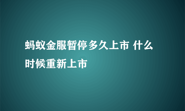 蚂蚁金服暂停多久上市 什么时候重新上市