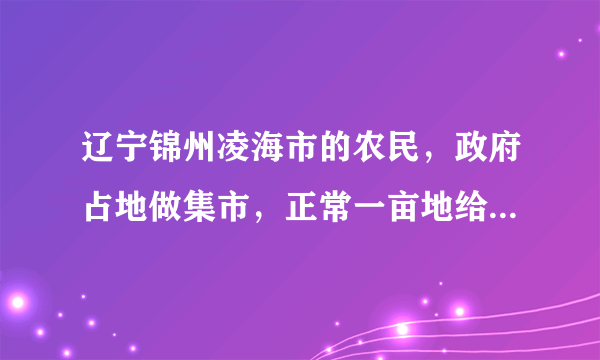 辽宁锦州凌海市的农民，政府占地做集市，正常一亩地给多少钱？