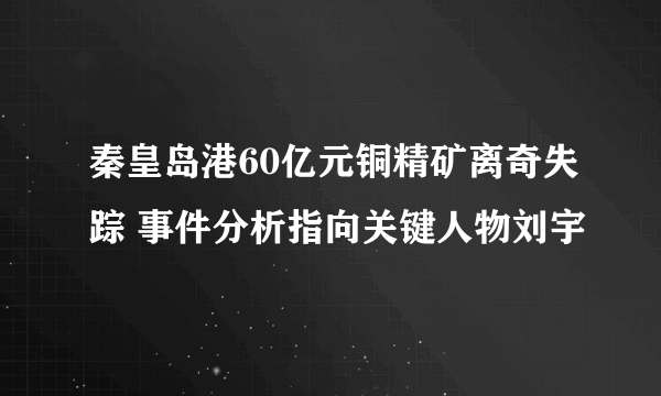 秦皇岛港60亿元铜精矿离奇失踪 事件分析指向关键人物刘宇