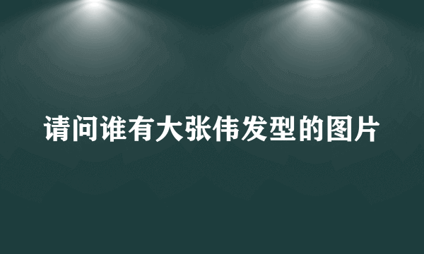 请问谁有大张伟发型的图片