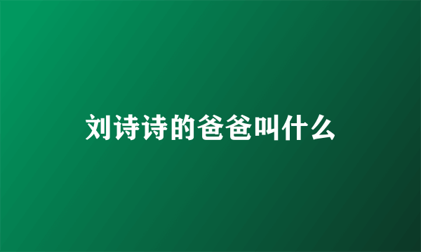 刘诗诗的爸爸叫什么