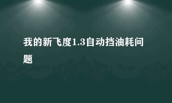 我的新飞度1.3自动挡油耗问题