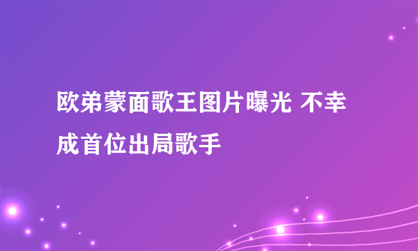 欧弟蒙面歌王图片曝光 不幸成首位出局歌手