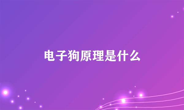 电子狗原理是什么