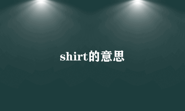 shirt的意思