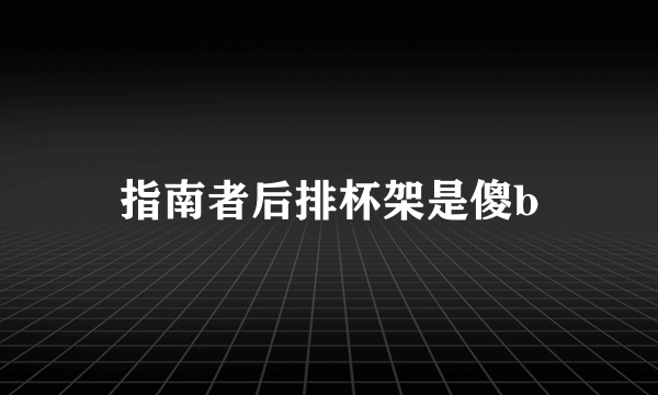 指南者后排杯架是傻b