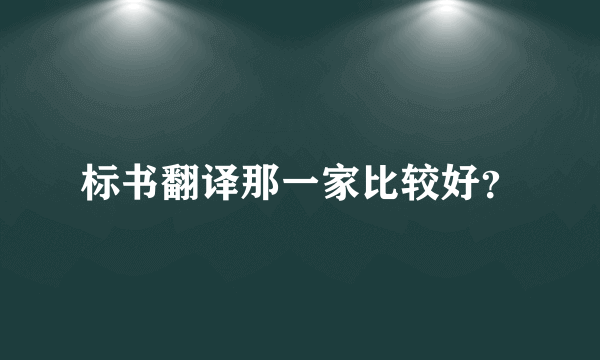 标书翻译那一家比较好？