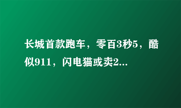 长城首款跑车，零百3秒5，酷似911，闪电猫或卖20来万，能火吗？