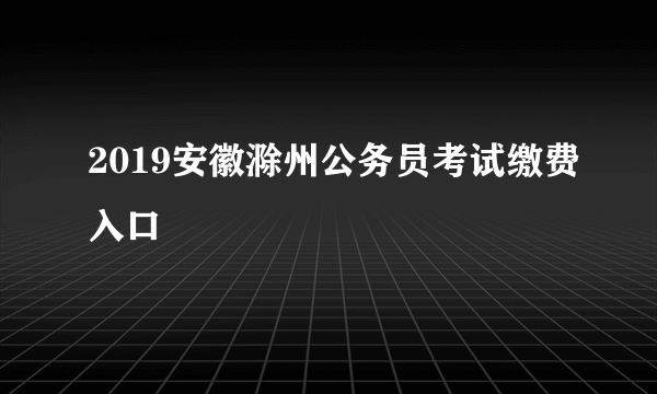 2019安徽滁州公务员考试缴费入口