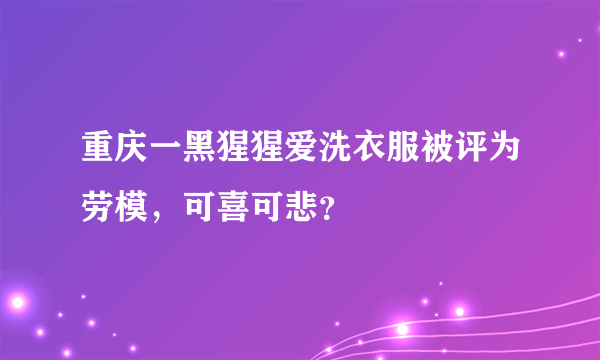 重庆一黑猩猩爱洗衣服被评为劳模，可喜可悲？