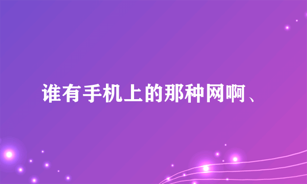 谁有手机上的那种网啊、