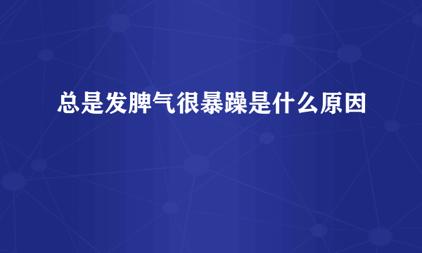 总是发脾气很暴躁是什么原因