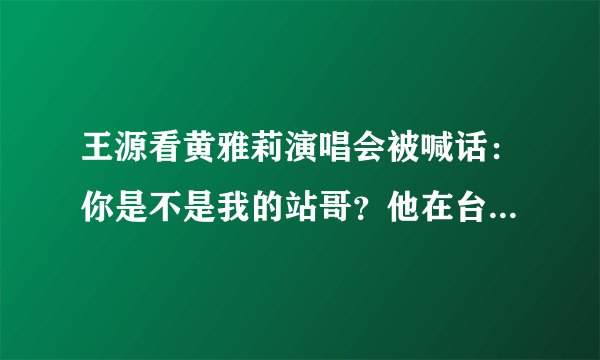 王源看黄雅莉演唱会被喊话：你是不是我的站哥？他在台下难掩激动