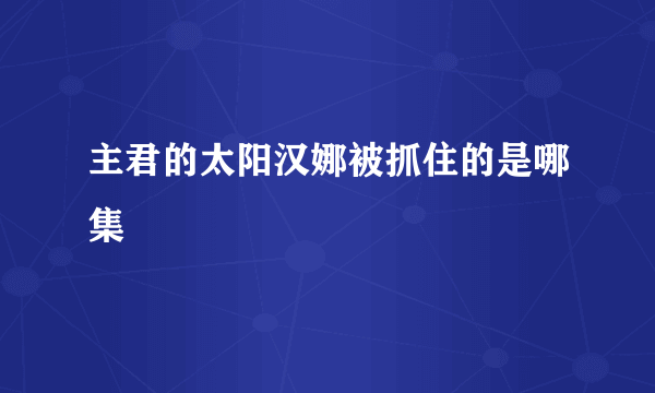 主君的太阳汉娜被抓住的是哪集