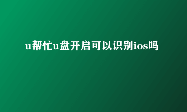 u帮忙u盘开启可以识别ios吗