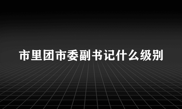 市里团市委副书记什么级别