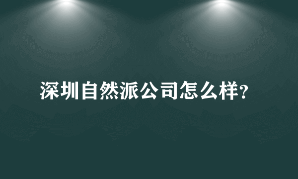 深圳自然派公司怎么样？