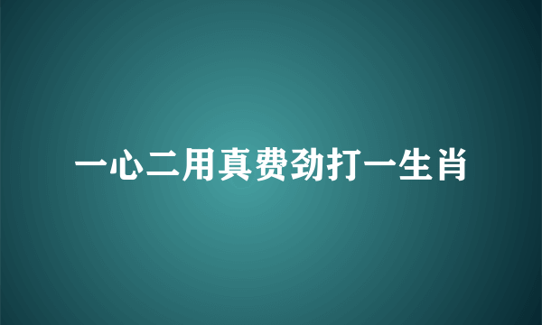 一心二用真费劲打一生肖