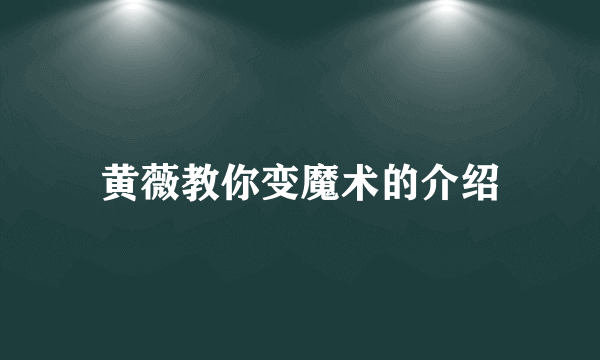 黄薇教你变魔术的介绍