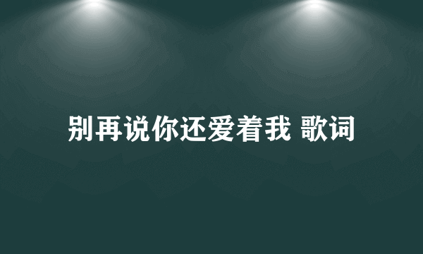 别再说你还爱着我 歌词