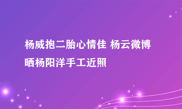 杨威抱二胎心情佳 杨云微博晒杨阳洋手工近照