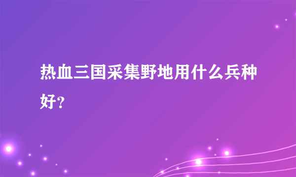 热血三国采集野地用什么兵种好？