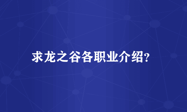 求龙之谷各职业介绍？