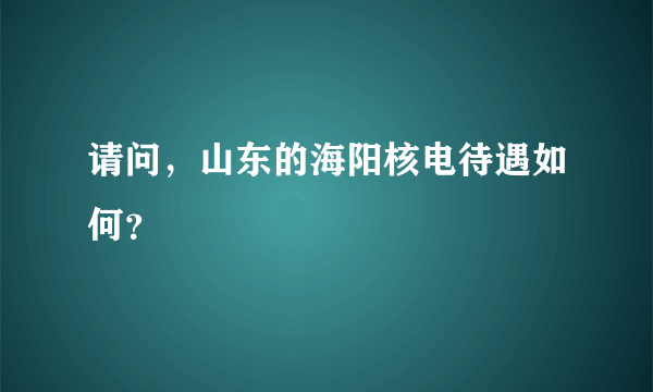 请问，山东的海阳核电待遇如何？