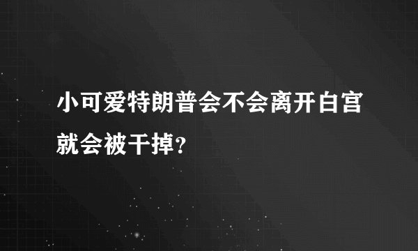 小可爱特朗普会不会离开白宫就会被干掉？