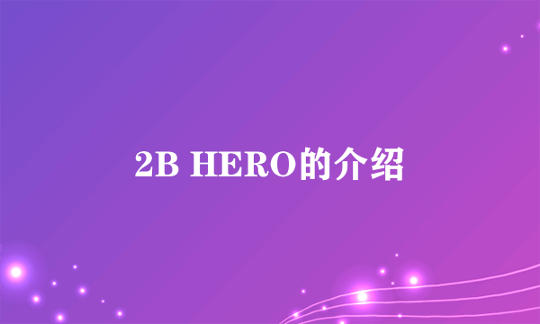 2B HERO的介绍