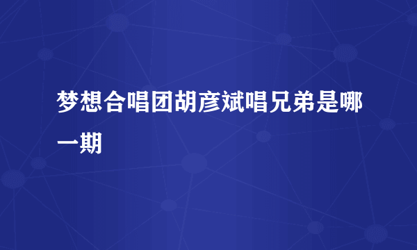 梦想合唱团胡彦斌唱兄弟是哪一期