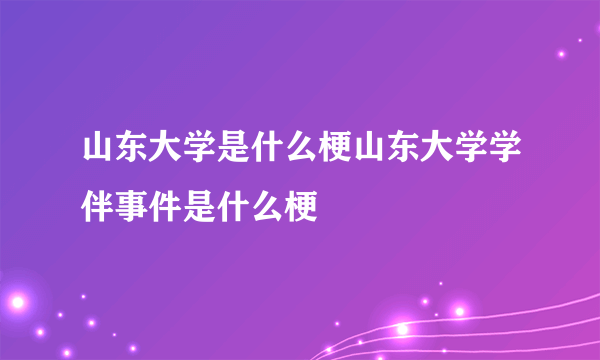 山东大学是什么梗山东大学学伴事件是什么梗