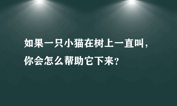 如果一只小猫在树上一直叫，你会怎么帮助它下来？