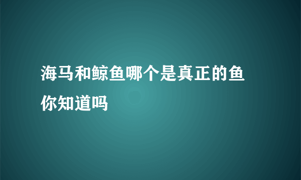 海马和鲸鱼哪个是真正的鱼 你知道吗