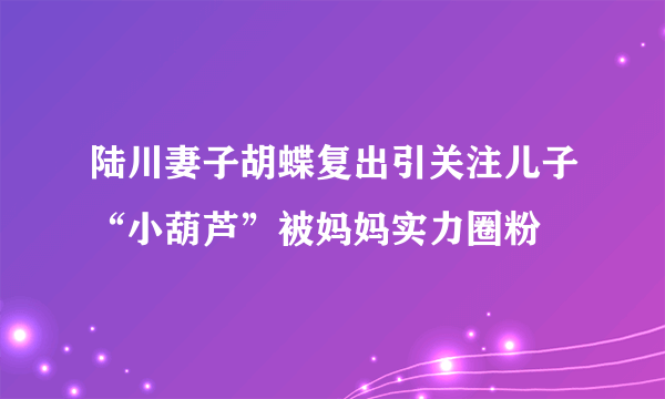 陆川妻子胡蝶复出引关注儿子“小葫芦”被妈妈实力圈粉