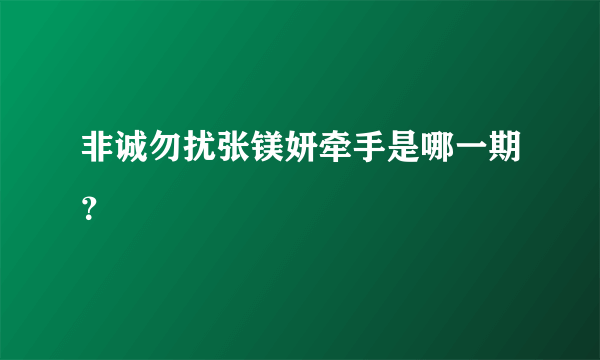 非诚勿扰张镁妍牵手是哪一期？