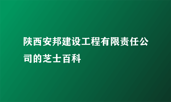 陕西安邦建设工程有限责任公司的芝士百科